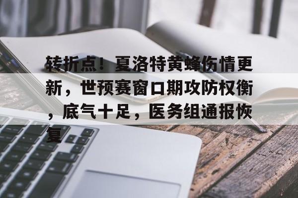 爱游戏中国 -转折点！夏洛特黄蜂伤情更新，世预赛窗口期攻防权衡，底气十足，医务组通报恢复的简单介绍